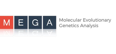mega molecular evolutionary genetics analysis|MEGA X: Molecular Evolutionary Genetics Analysis across Computing.